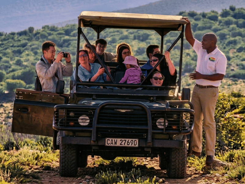 Africa Tours