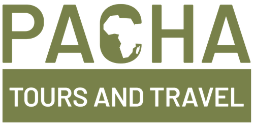 Pacha Africa Tours